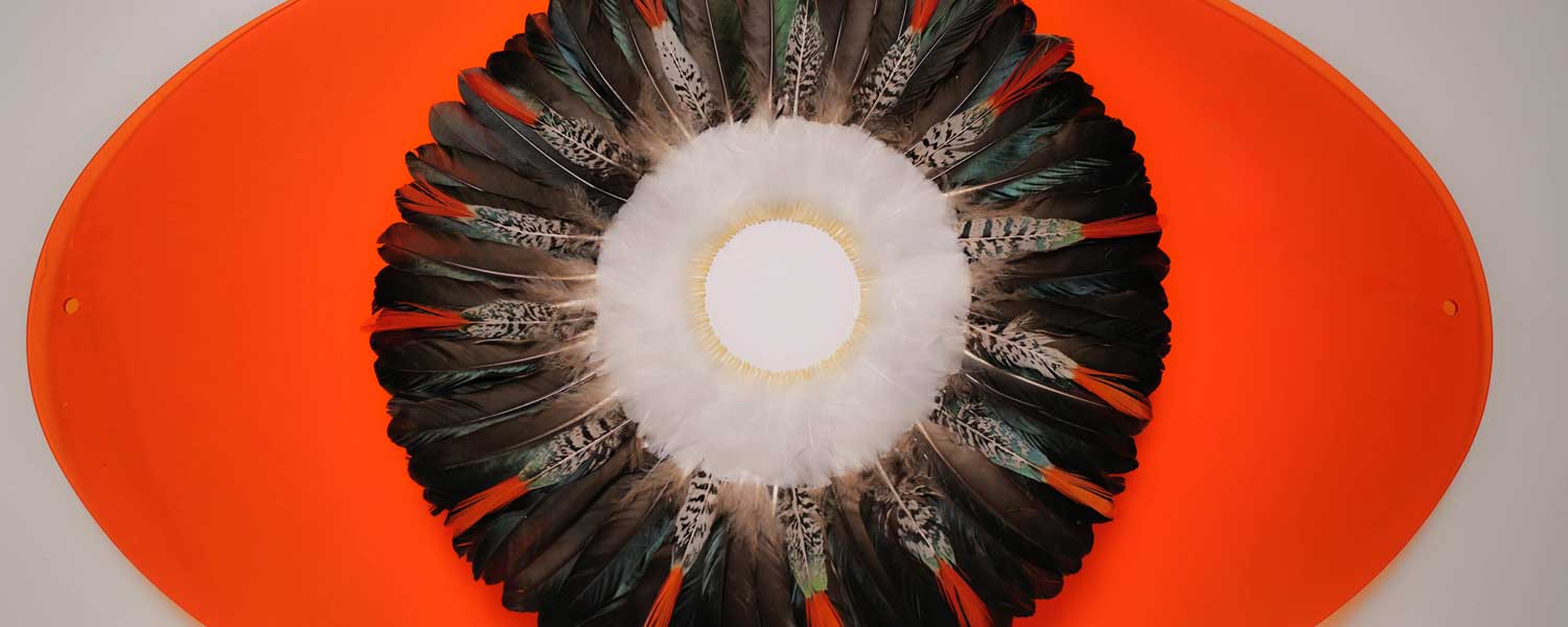 Federkreise auf Acryl